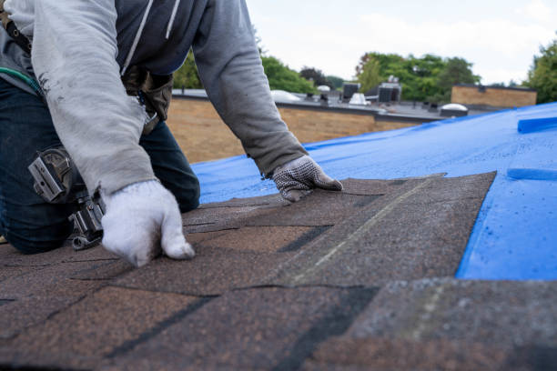Best Flat Roof Repair Services  in St James, MD